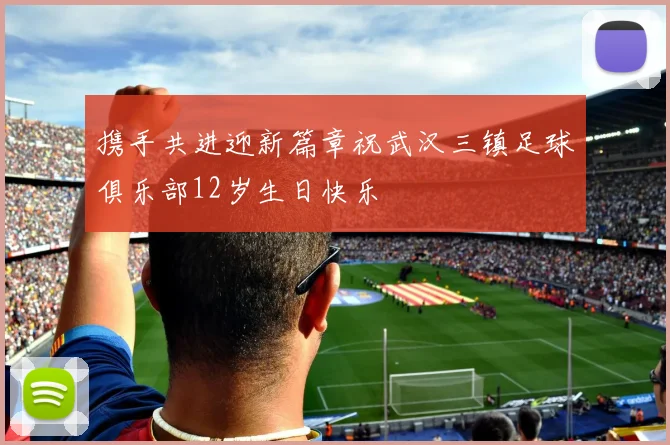 携手共进迎新篇章祝武汉三镇足球俱乐部12岁生日快乐