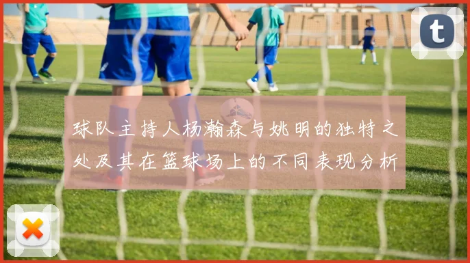 球队主持人杨瀚森与姚明的独特之处及其在篮球场上的不同表现分析