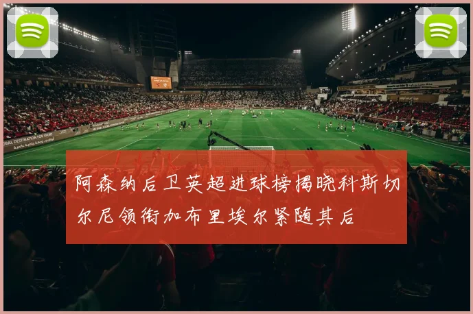 阿森纳后卫英超进球榜揭晓科斯切尔尼领衔加布里埃尔紧随其后