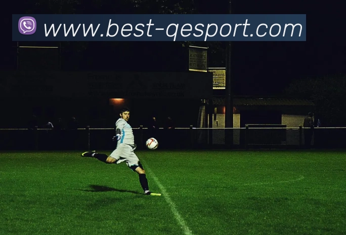 企鹅体育全站App